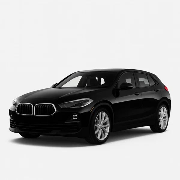 Mileage Blocker for BMW X2 F39 BMW X2 F39 Mileage Blocker