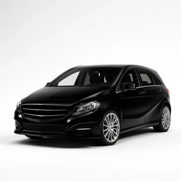 Mileage Blocker for MERCEDES B CLASS W242 , W246 MERCEDES B CLASS W242 / W246 Mileage Blocker