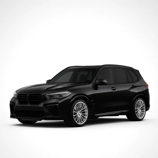 Mileage Blocker for BMW X5 G05, F95 BMW X5 G05/F95 Mileage Blocker